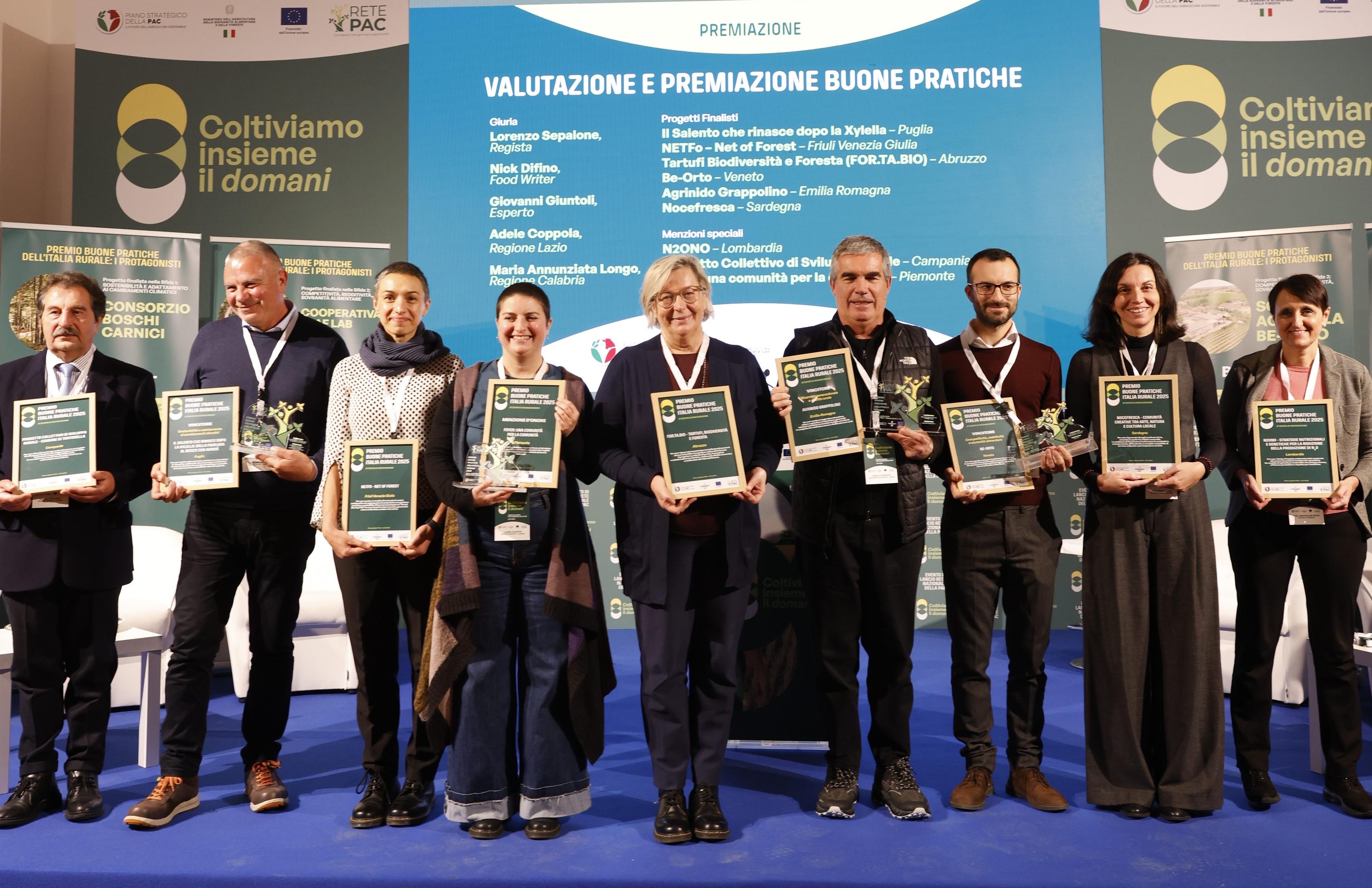 Galleria Oltre la Xylella: premiata dal Masaf la buona pratica di reimpianto di cultivar resistenti dell’azienda salentina Agrosì - Diapositiva 4 di 4